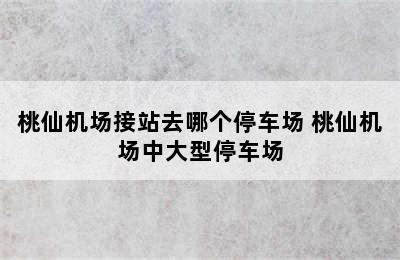 桃仙机场接站去哪个停车场 桃仙机场中大型停车场